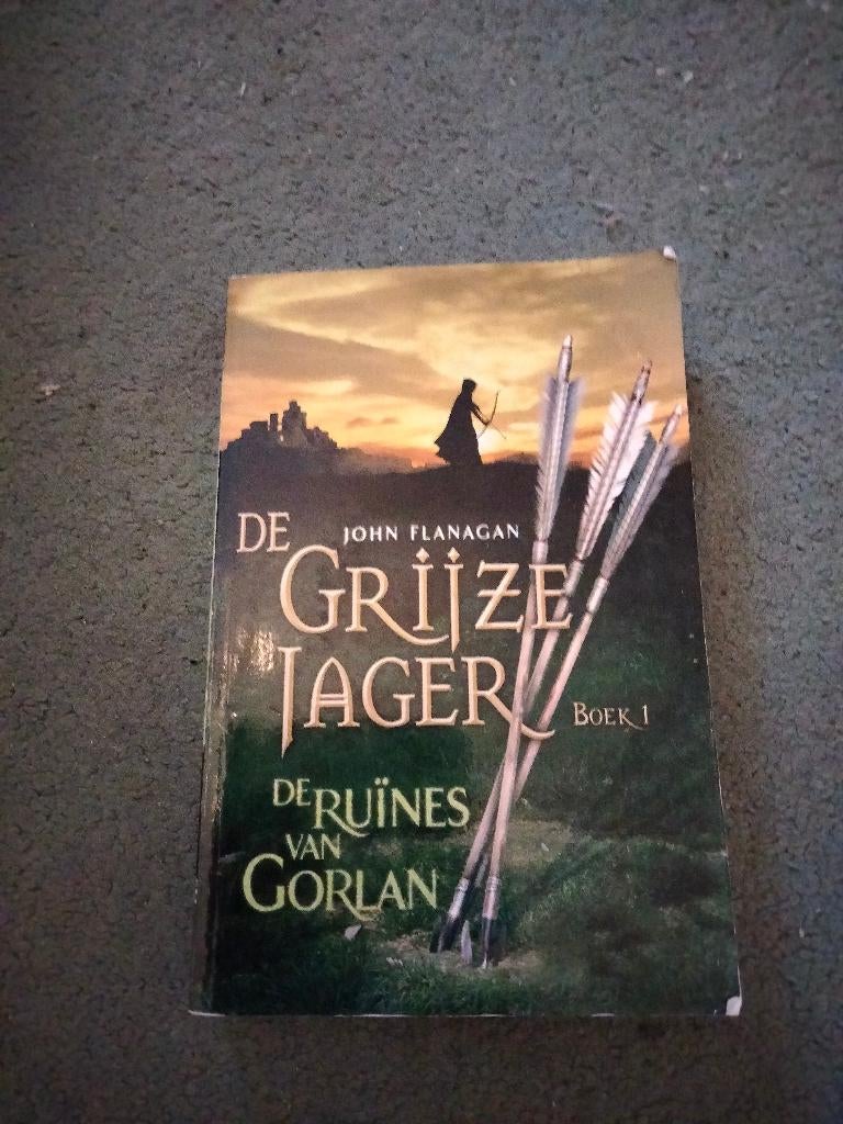 de grijze jager boek 1, Boeken, Ophalen, Zo goed als nieuw