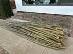 Verse wilgentenen - Ideaal voor vlechtwerk en tuindecoratie, Ophalen, Nieuw