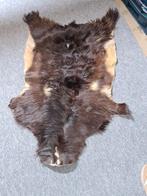 dierenvel, Minder dan 50 cm, 50 tot 100 cm, Bruin, Ophalen of Verzenden