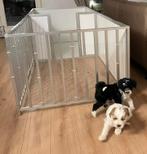 Mooie professionle werpkist met ren, Ophalen, Zo goed als nieuw