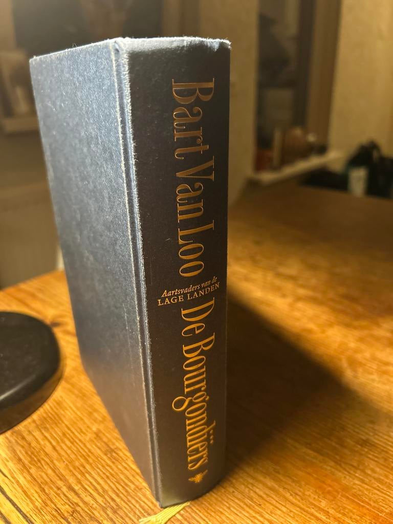 De Bourgondiërs - Bart Van Loo, Boeken, Geschiedenis | Wereld, Gelezen, Europa, 15e en 16e eeuw, Ophalen of Verzenden