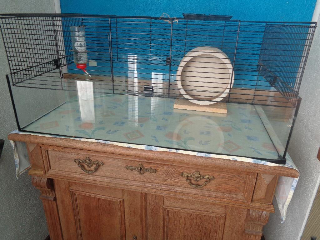 Knaagdieren kooi met glazen bak 78,5 x 47,5 x 35 cm., Kooi, Hamster, Zo goed als nieuw, 75 tot 110 cm