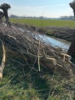 wilgen hout, 6 m³ of meer, Ophalen, Overige houtsoorten, Stammen