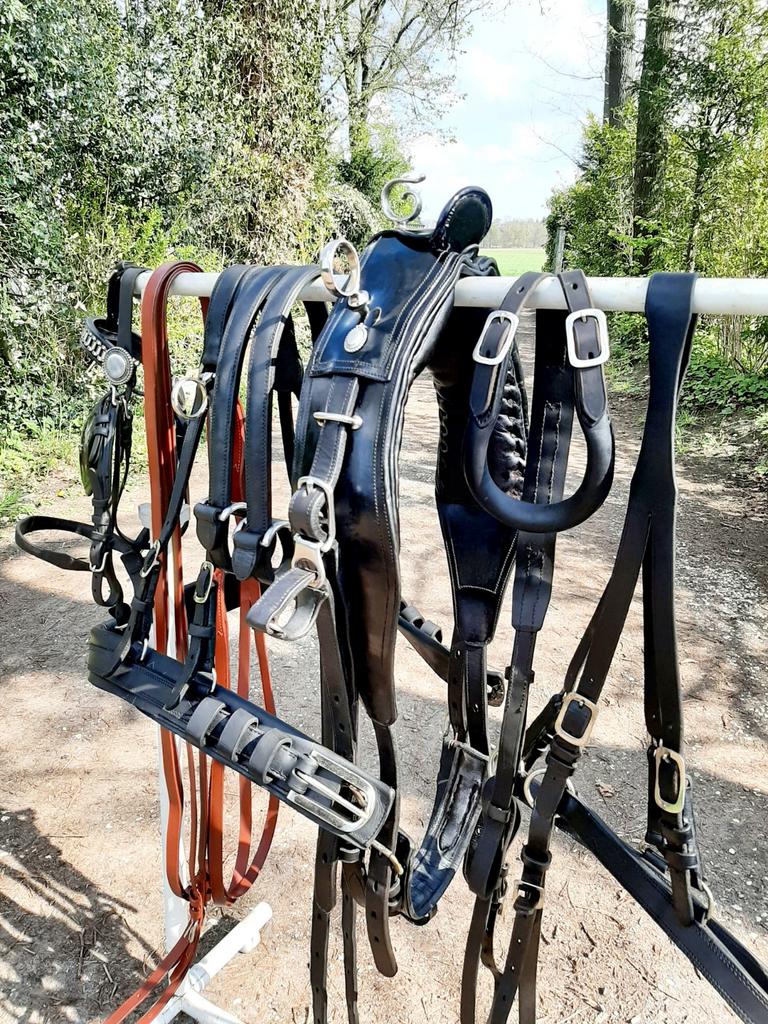 🔴HONGAARS CHIQUE FULL-COB LAKLEER KOETS TUIG 360 €  🔴, Dieren en Toebehoren, Ophalen of Verzenden, Overige soorten