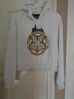 HARRY POTTER witte hoody trui:mt 158/164, Jongen of Meisje, Trui of Vest, Ophalen of Verzenden, Zo goed als nieuw