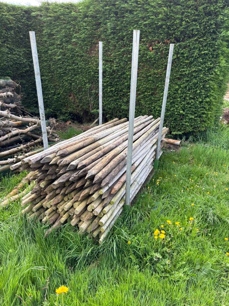 Boompalen 250cm, Tuin en Terras, Palen, Balken en Planken, Ophalen, Zo goed als nieuw, 250 cm of meer, Overige typen