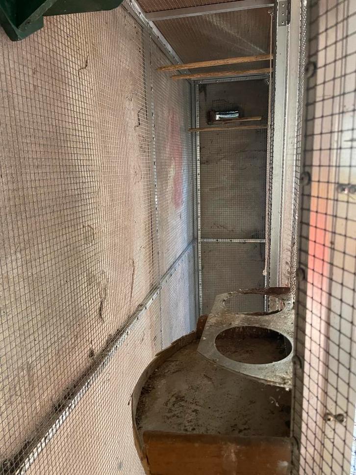 Aluminium folliere/ kattenren konijnen ren., Dieren en Toebehoren, Vogels | Hokken en Kooien, Volière, Aluminium, Ophalen