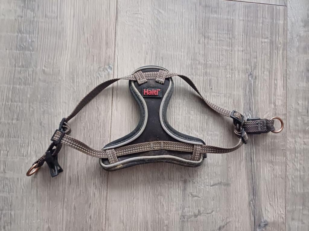 Puppy Tuig Halti, XXS, Dieren en Toebehoren, Ophalen of Verzenden, Nieuw, Hondenriem-accessoire