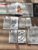 Stempels oa Altenew, Hobby en Vrije tijd, Stempelen, Ophalen of Verzenden, Gebruikt, Clearstamp