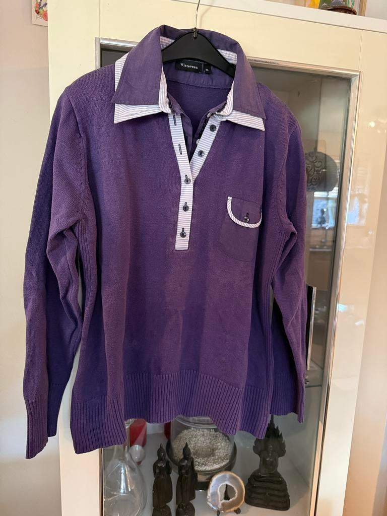 Paarse trui met kraag Witteveen XL katoen, Kleding | Dames, Truien en Vesten, Ophalen of Verzenden, Gedragen, Maat 42/44 (L), Paars