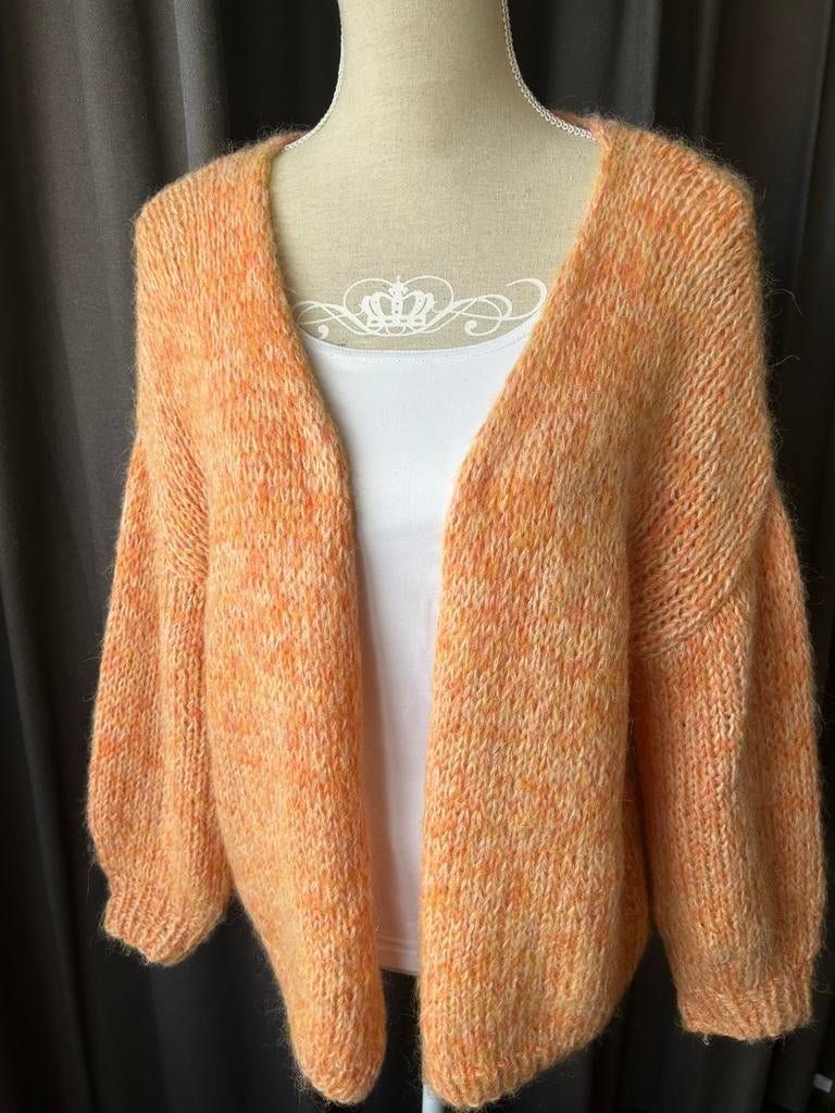 Oranje vest voor Koningsdag one size, Ophalen of Verzenden, Nieuw, Maat 38/40 (M), Oranje