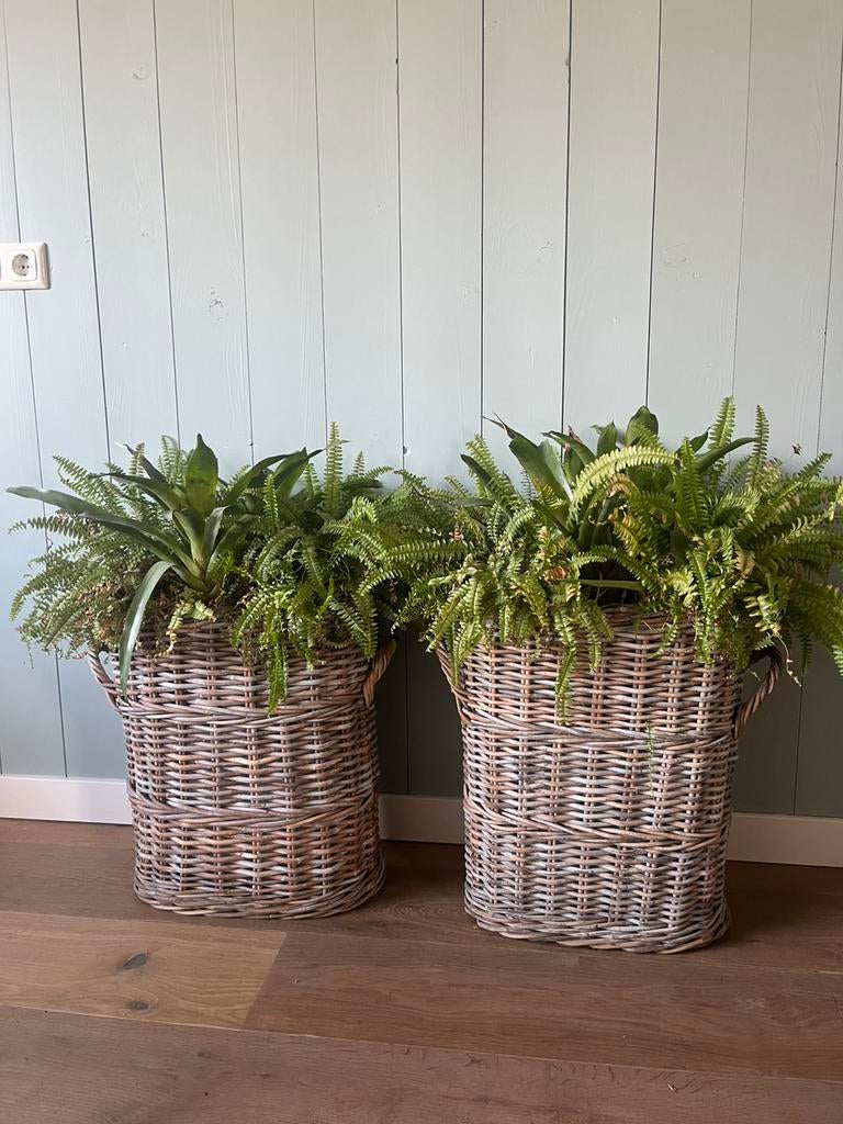 Vensterbank manden gevuld met planten, Ophalen, Zo goed als nieuw, Rond, Riet