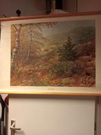 Vintage Schoolplaat 'In het duin' M.A. Koekkoek, Ophalen of Verzenden, Natuur en Biologie