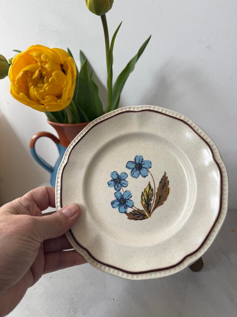 Set van 10 vintage Staffordshire Kensington bordjes, Huis en Inrichting, Keuken | Servies, Keramiek, Ophalen of Verzenden, Zo goed als nieuw