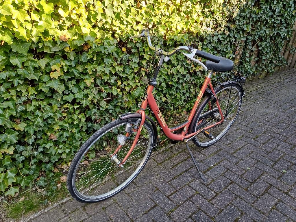 Te koop Batavus  dames  fiets, Fietsen en Brommers, 53 tot 56 cm, Ophalen, Gebruikt, Batavus