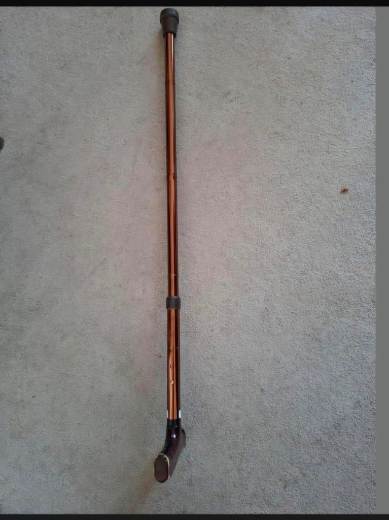 Wandelstok, Ophalen of Verzenden