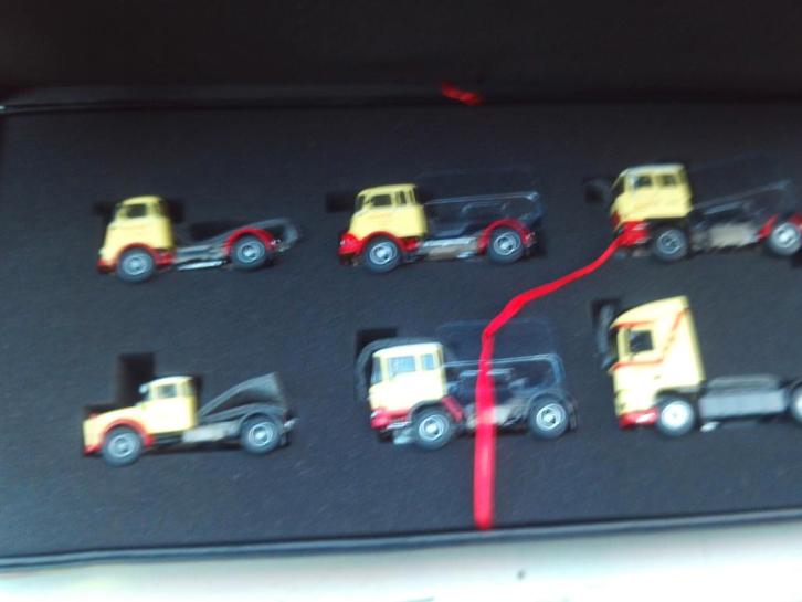 WSI  Set  van  van  Reenen  6  stuks  in  Box., Hobby en Vrije tijd, Modelauto's | 1:50, Nieuw, Bus of Vrachtwagen, Wsi, Ophalen of Verzenden