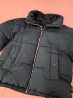 Donkergroene winterjas PULL & BEAR - XS, PULL & BEAR, Ophalen of Verzenden, Zo goed als nieuw, Maat 34 (XS) of kleiner