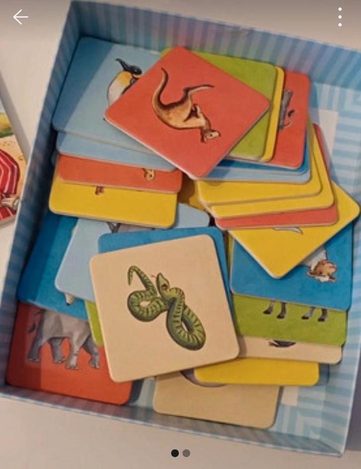 Memory spel de Ark van Noach, Hobby en Vrije tijd, Gezelschapsspellen | Bordspellen, Zo goed als nieuw, Een of twee spelers, Drie of vier spelers