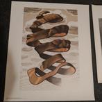 Escher Prent - Omhulsel, Ophalen of Verzenden