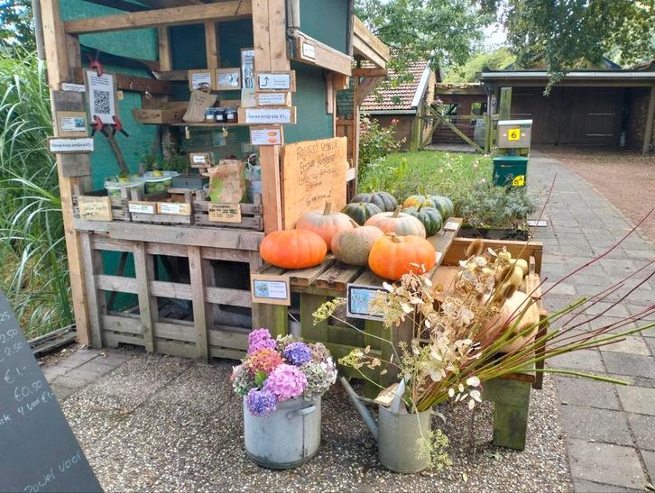 Onze kraam met appels, patisson, eetbare pompoen, jam, deco, Tuin en Terras, Overige Tuin en Terras, Zo goed als nieuw, Ophalen of Verzenden