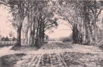 Gieten - Het Zwanemeer (rond 1930), Ophalen of Verzenden, 1920 tot 1940, Gelopen, Drenthe