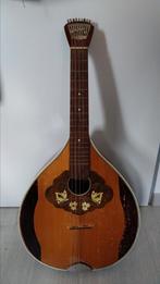 Waldzither, oud Duits snaarinstrument, Muziek en Instrumenten, Snaarinstrumenten | Overige, Ophalen, Gebruikt, Citer