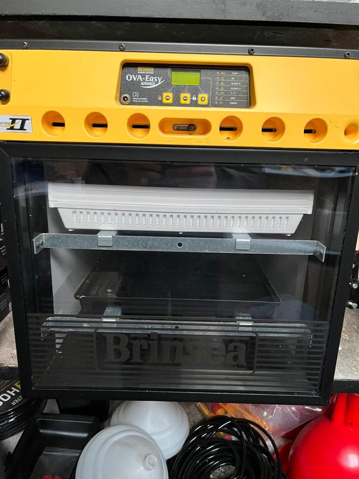 Brinsea Ova-Easy Advance Uitkomstmachine, Dieren en Toebehoren, Pluimvee | Toebehoren, Zo goed als nieuw, Broedmachine, Ophalen