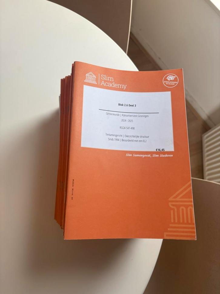 Slim Academy Geneeskunde Jaar 2 Groningen, Boeken, Studieboeken en Cursussen, Zo goed als nieuw, WO, Alpha, Ophalen of Verzenden