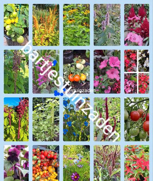 Groot assortiment bloemen en tomatenzaden keuze uit 500, Tuin en Terras, Bloembollen en Zaden, Verzenden