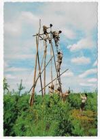 Scouting Nederland  ongelopen ansichtkaart ( B2880 ), Ophalen of Verzenden, Ongelopen, Overige thema's