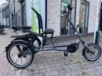 Elektrische Driewielfietsen voor Volwassenen 5 Jaar Garantie, Fietsen en Brommers, Fietsen | Driewielfietsen, Ophalen of Verzenden