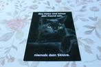 Katten Postkaart - Kartuizer Poes met Spreuk, Duitsland, Verzenden, 1980 tot heden, Ongelopen, Hond of Kat