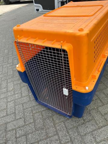 Transport Bench beschikbaar voor biedingen