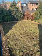 Groendak sedum dak zowel trays als matten, Ophalen of Verzenden, Nieuw, 20 m² of meer