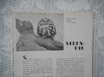 De steenuil. 1939/1940., Verzamelen, Tijdschriften, Kranten en Knipsels, Ophalen of Verzenden, 1920 tot 1940, Nederland, Knipsel(s)