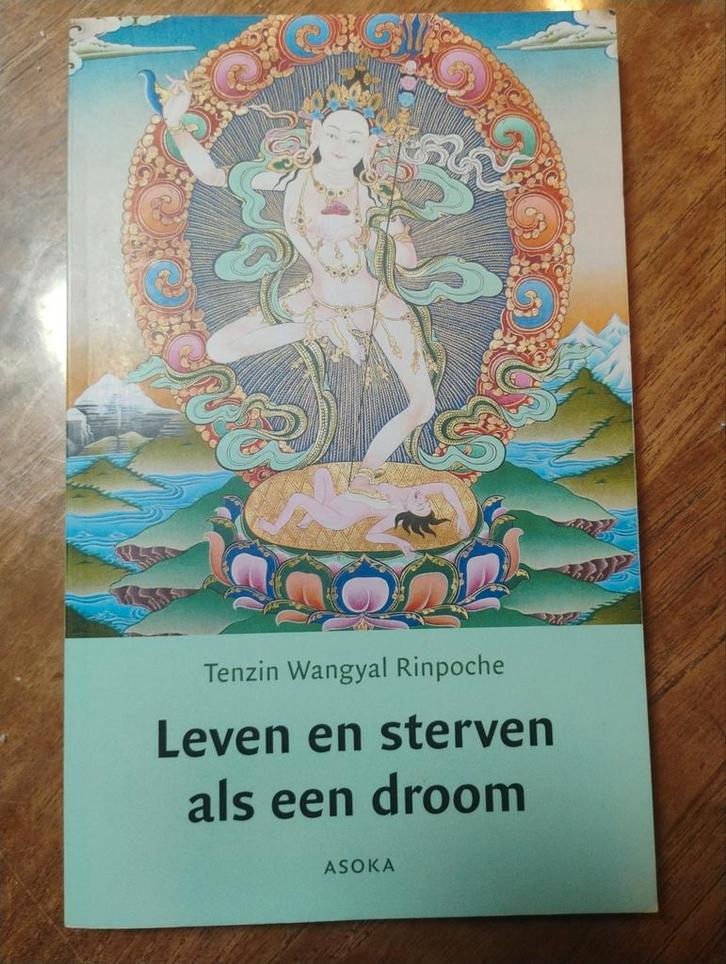 Leven en sterven als een droom - Tenzin Wangyal Rinpoche, Boeken, Esoterie en Spiritualiteit, Zo goed als nieuw, Achtergrond en Informatie