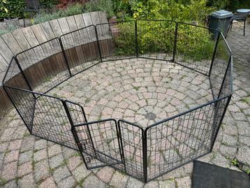 Robuuste konijnenren 80 XXL (880 cm omtrek) beschikbaar voor biedingen