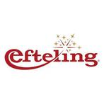 efteling ticket 21 juli 1 persoon, Tickets en Kaartjes, Eén persoon