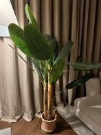 Kunst bananenplant met sierpot - Prachtige kamerplant, Huis en Inrichting, Kamerplanten, Ophalen, 100 tot 150 cm, Fruitplant, Halfschaduw