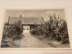 Duinoord-Helvoirt, Ophalen of Verzenden, 1940 tot 1960, Gelopen, Noord-Brabant
