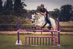 Plek voor zadelmak maken / trainen, doorverkopen paard, Diensten en Vakmensen