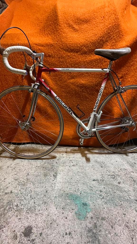 Wedstrijd stalen racefiets Concoder type Aquila, Fietsen en Brommers, Fietsen | Racefietsen, Gebruikt, Overige merken, 10 tot 15 versnellingen
