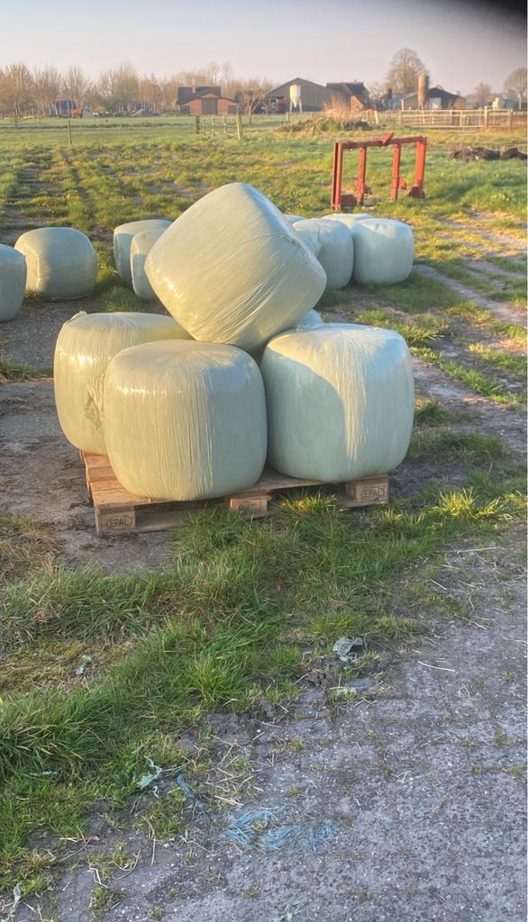 Mbp mais bierborstel pulp balen, Diversen, Levensmiddelen, Ophalen of Verzenden