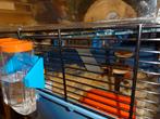 Hamsterkooi met zand, spoelen en eten, Minder dan 60 cm, Kooi, Muis, Ophalen of Verzenden