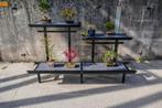 Bonsai Meubel - Ōtorii - VTH, Ophalen, Bloeit niet, Overige soorten