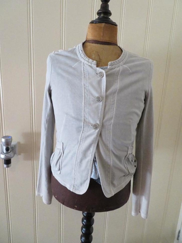 Dames vest - jasje Sandwich maat XL, Kleding | Dames, Truien en Vesten, Gedragen, Maat 46/48 (XL) of groter, Blauw, Ophalen of Verzenden