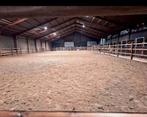 Pensionstalling-binnenbak-stapmolen-buitenbak, Dieren en Toebehoren, Stalling en Weidegang, Stalling, 4 paarden of pony's of meer
