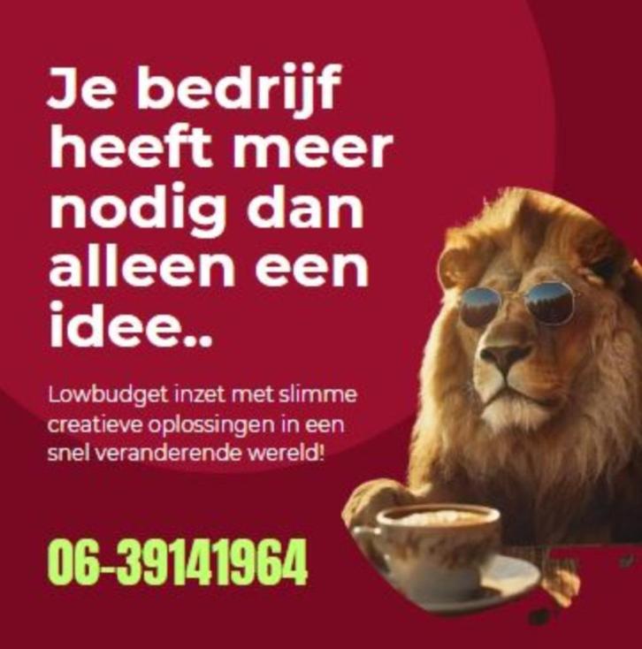 online marketeer aangeboden, Vacatures, Vacatures | Marketing, Communicatie en Media, Overige niveaus, Vanaf 10 jaar, Overige vormen