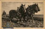 Nunspeet - Ploeg met paarden, Ophalen of Verzenden, Voor 1920, Ongelopen, Gelderland